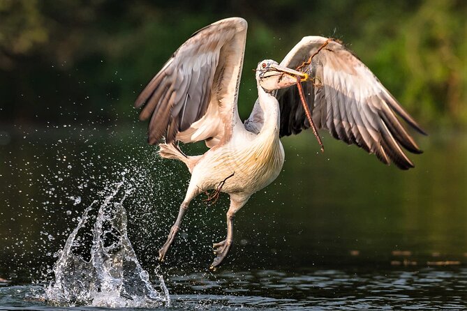 Prek Toal Birds Sanctuary and floating Village Private Day Tour - Hotel Pickup and the Ride to the Lake