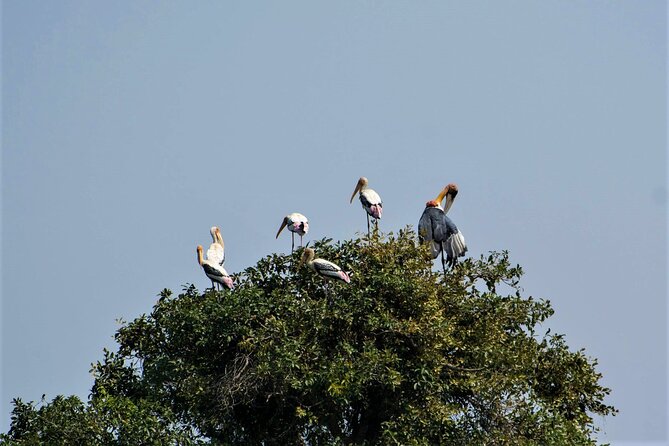 Prek Toal Birds Sanctuary and floating Village Private Day Tour - Entering the Prek Toal Bird Sanctuary