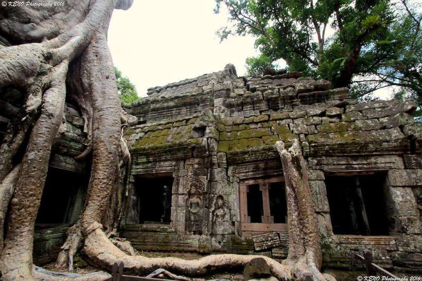 Private Angkor Sunrise, Guide Breakfast and Tuktuk included - Ta Prohm and the power of an unfinished-looking temple