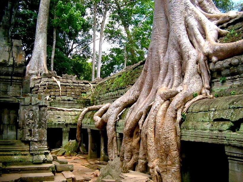 Private Angkor Sunrise, Guide Breakfast and Tuktuk included - The Elephant Terrace and the scale of royal ceremony