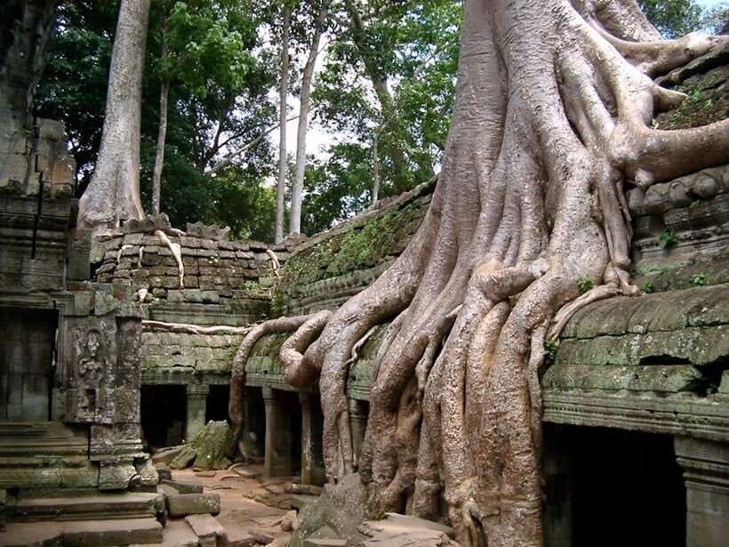 Private Angkor Sunrise, Guide Breakfast and Tuktuk included - What to bring for a seven-hour temple morning