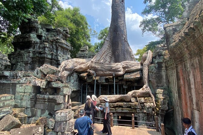 Private Angkor Wat and Lost Temple Jungle Tour - Bayon Temple and the faces of Jayavarman VII