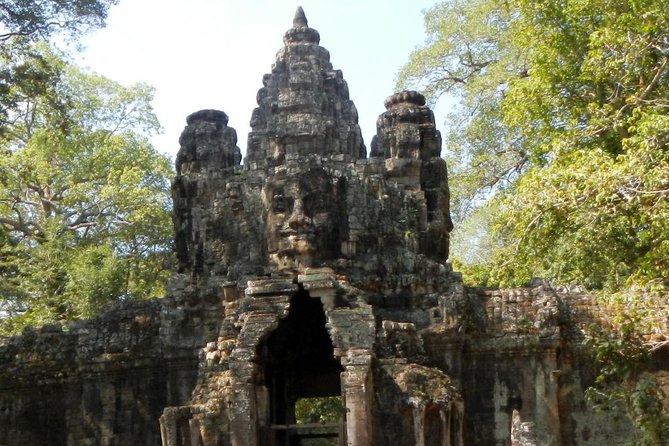 Private Angkor Wat Day Tour - Best of Angkor - Ta Prohm shows nature taking over the stone