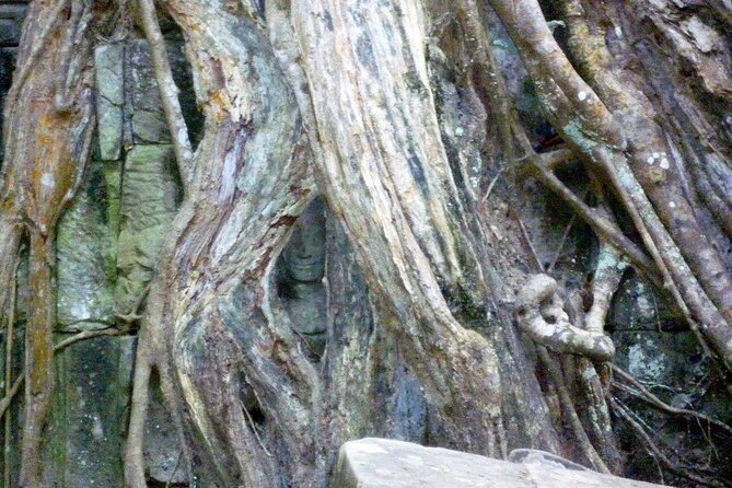 Private Angkor Wat Day Tour - Best of Angkor - The final Angkor Wat visit is where the day settles