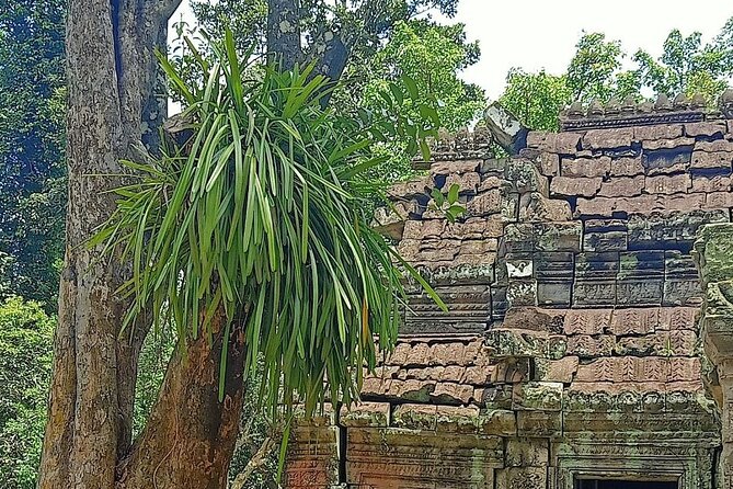 Private Angkor Wat Guided Sunset Tour - Bayon and the Elephant Terrace