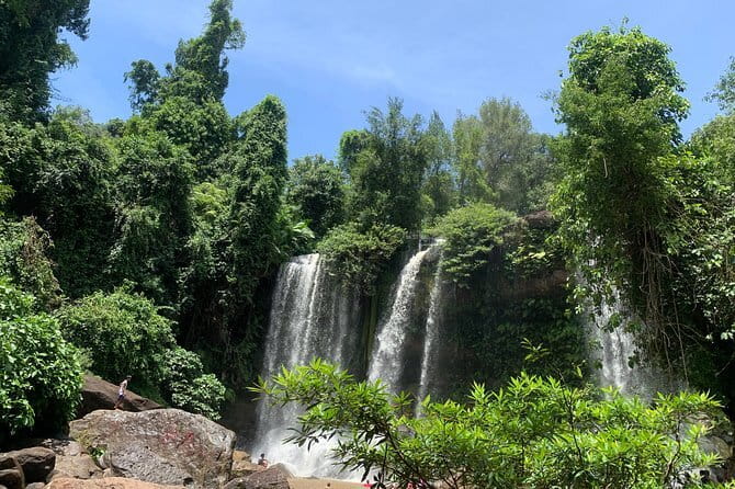 Private Angkor Wat Sunrise Guide Tour include Breakfast and Snack - Ta Prohm and the famous jungle setting
