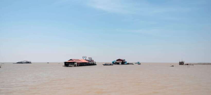 Private Angkor Wat Sunrise Tours And Sunset Floating Village - Ta Prohm and the famous tree roots