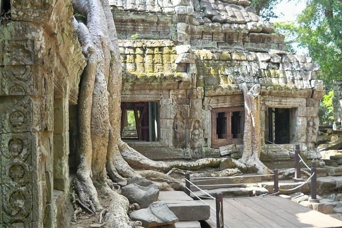 Private Angkor Wat Tour from Siem Reap - Ta Prohm, where trees press through the walls
