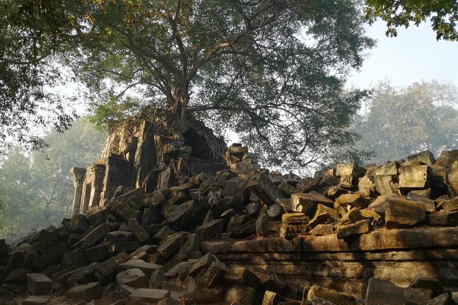 Private Beng Mealea Temple Tour – Hidden Jungle Ruins - Practical details that make the day easier
