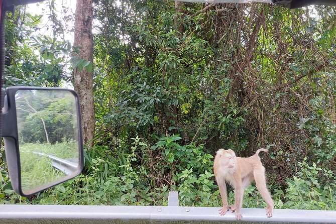 Private Bokor tours by Rickshaw/SUV Car - Timing, transport, and the real value of $45