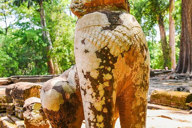 Private Full-Day Angkor Temple and Sunset Viewing with Lunch - Ta Prohm and the Trees Over Stone