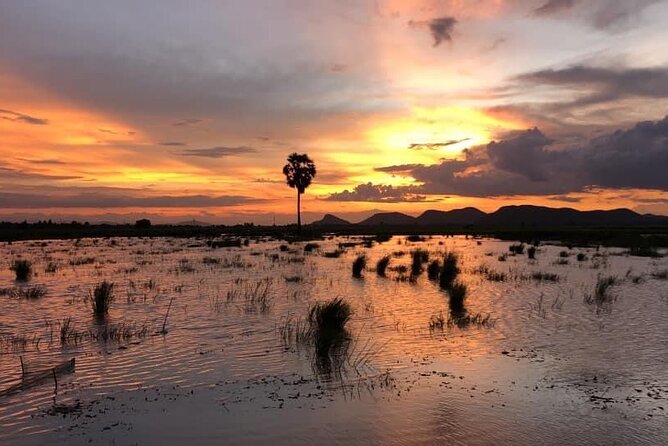 Private Full Day Tuk Tuk Tour in Battambang - The bamboo train and rice-field ride