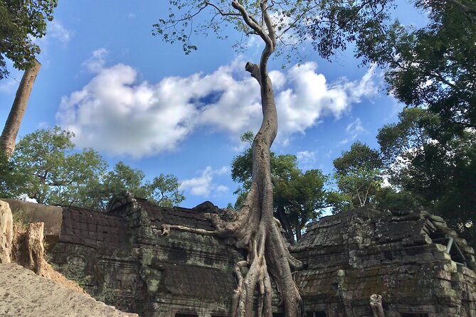 Private Guided Angkor Wat Tour by Lady Tuk Tuk with Monk Blessing - Ta Prohm before the crowds arrive