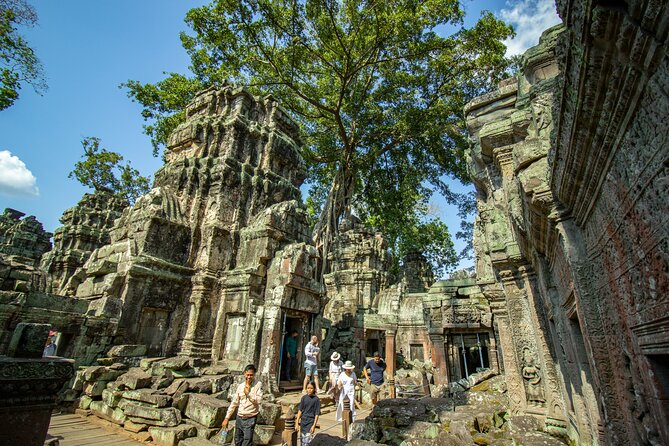 Private Guided Tour To Angkor Wat & Its Surrounding-Angkor Park - Ta Prohm and the Tomb Raider Connection
