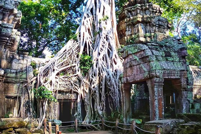 Private Guided Tours-Sunrise Angkor Wat, Ta Prohm, Bayon and more - Terrace of the Elephants and royal viewpoints