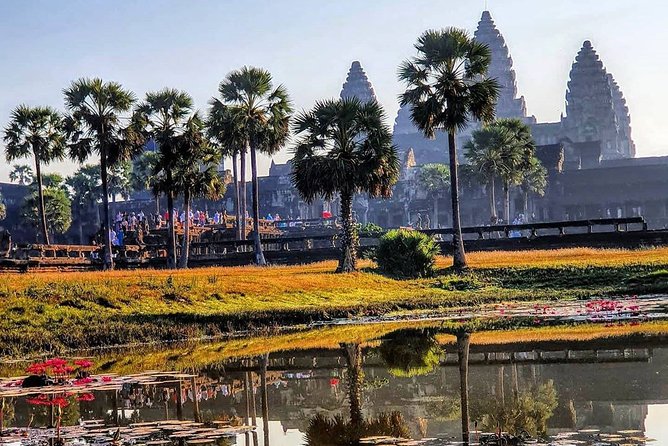 Private Guided Tours-Sunrise Angkor Wat, Ta Prohm, Bayon and more - Baphuon’s steep climb and wide views