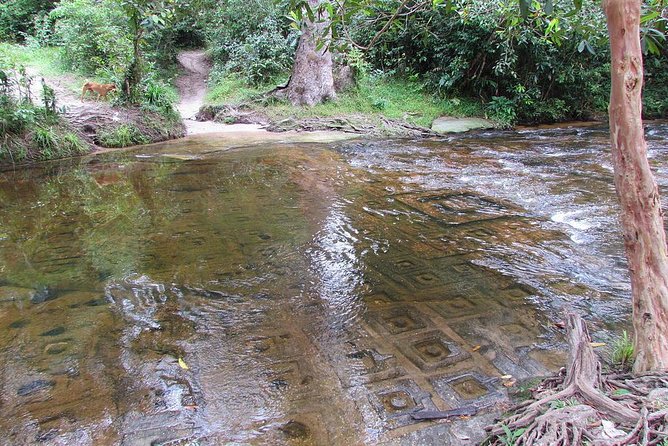Private Kulen Mountain and Beng Mealea Temple Tour - What the private vehicle and guide add