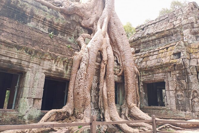 Private One Day Trip-The Best Experience in Siem Reap - Who should choose this Angkor day trip