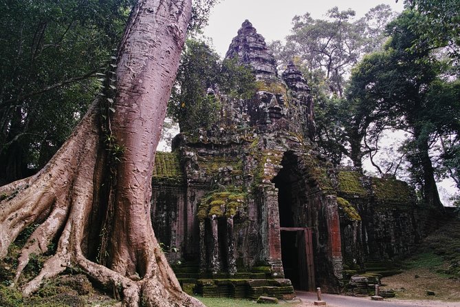 Private One Day Trip-The Best Experience in Siem Reap - Bayon Temple and the stone faces of Angkor Thom