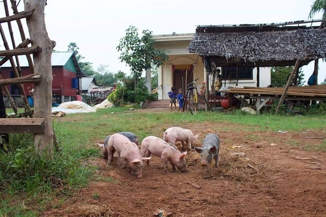 Private Ox Cart Ride and Local village Experience from Siem Reap - The market, homes, and local school
