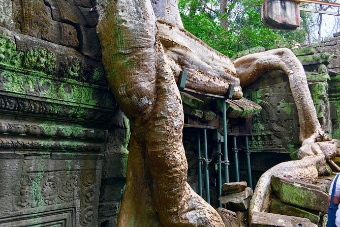 Private Siem Reap 4 Days: Full Exploration of the Angkor Complex - The guide and driver can shape the whole experience
