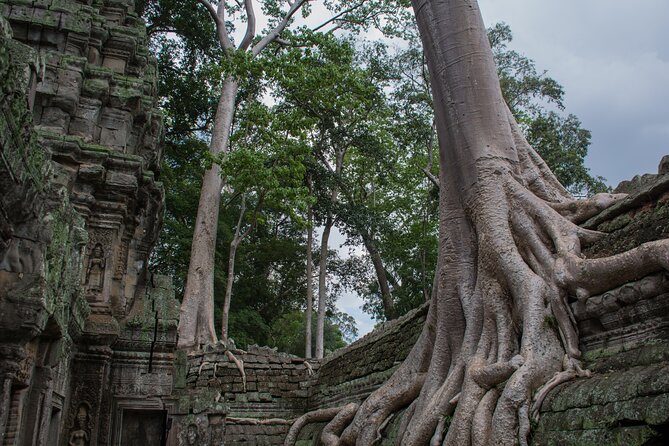 Private Siem Reap Airport Transfer to hotel in town - The 50-minute ride into Krong Siem Reap