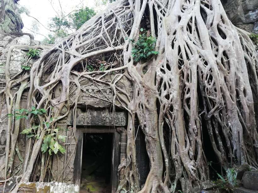 Private Sunrise Angkor Wat Tour - Why the sunrise start is worth the alarm