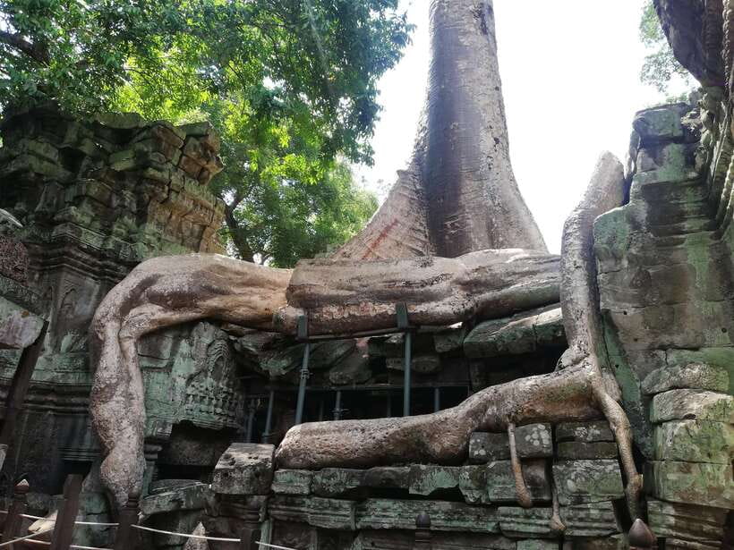 Private Sunrise Angkor Wat Tour - Private transport is a real advantage in the heat