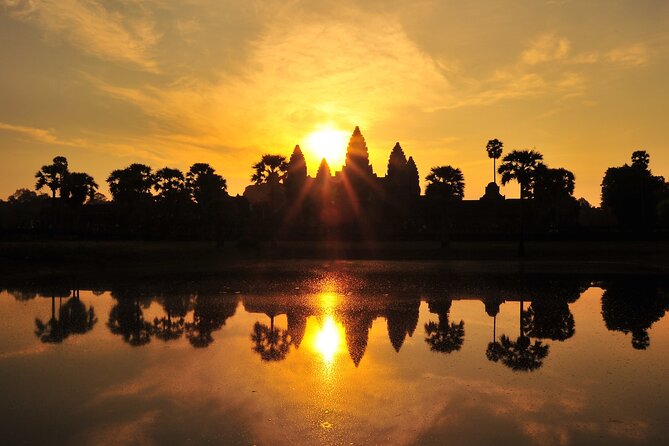 Private Sunrise Angkor Wat Tour with pickup from your hotel - Ta Prohm and the power of the trees
