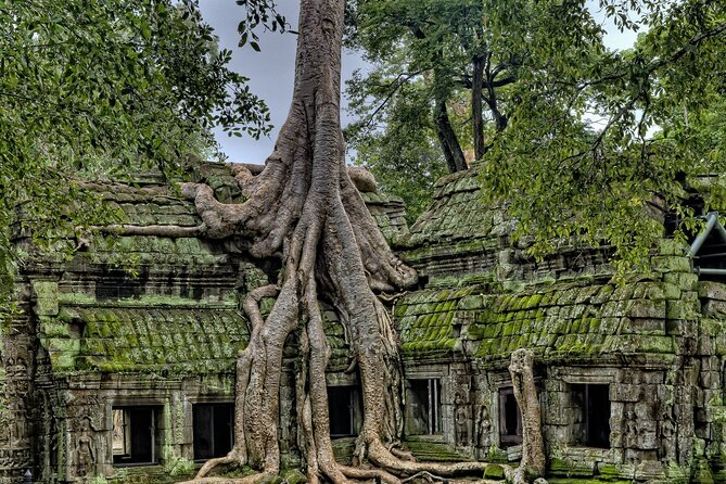 Private sunrise tour to Angkor Wat & other highlights with Professional Guide. - Angkor Wat at sunrise