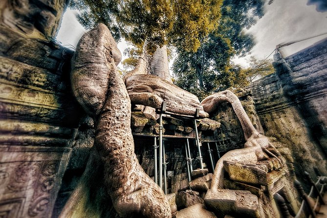 Private sunrise tour to Angkor Wat & other highlights with Professional Guide. - Angkor Thom and the South Gate