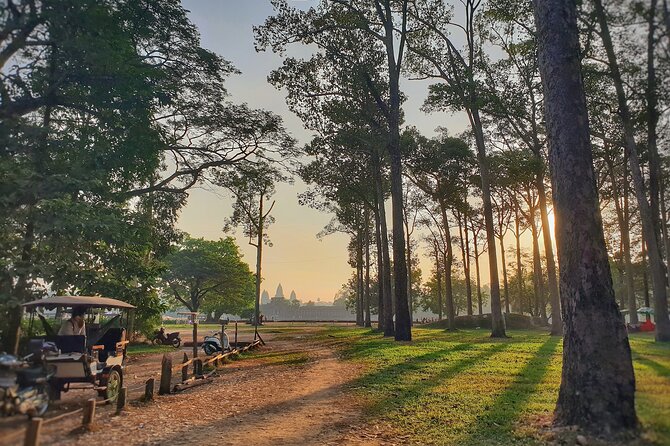 Private Temples Guided Tour (Angkor Wat, Ta Prom & Angkor Thom) - Ta Prohm and the power of unfinished ruins