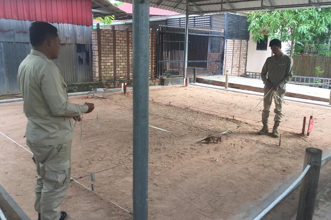 Private Tour: HERO Rats & Angkor National Museum - Angkor National Museum and the ancient Khmer world
