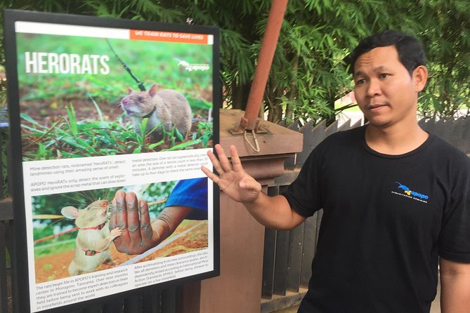 Private Tour: HERO Rats & Angkor National Museum - What the $85 price really includes