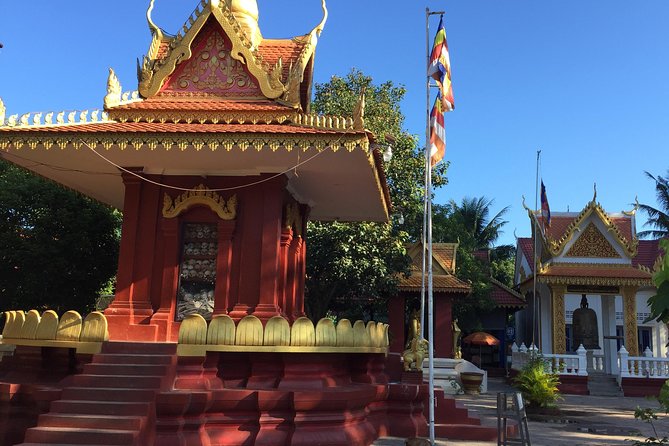 Private Tour: HERO Rats & Angkor National Museum - The main drawbacks to consider