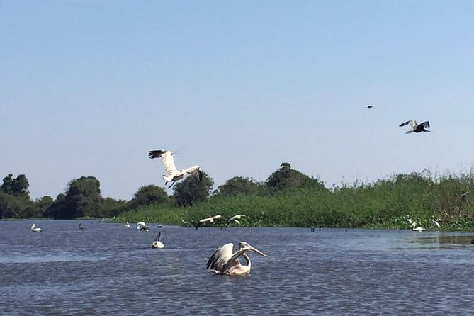 Private Tour Prek Toal Bird Sanctuary Off Beaten Track - Key things to know before booking