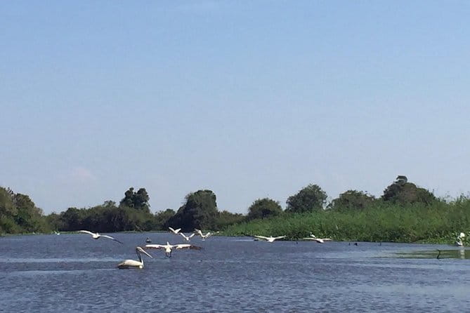 Private Tour Prek Toal Bird Sanctuary Off Beaten Track - Why Prek Toal makes a worthwhile day trip