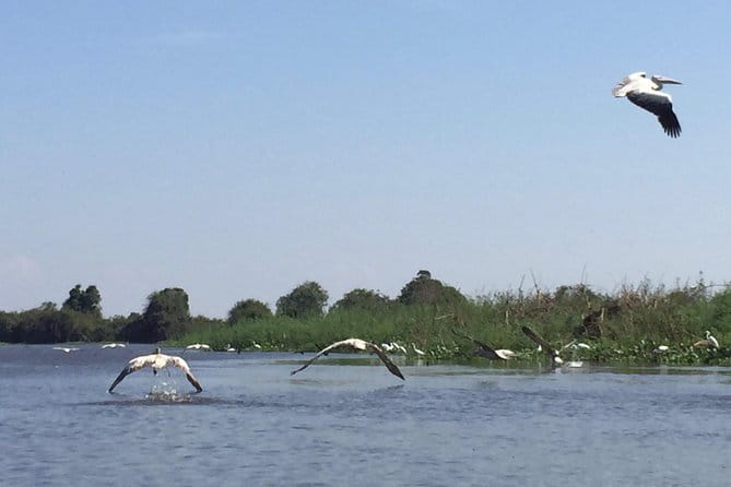 Private Tour Prek Toal Bird Sanctuary Off Beaten Track - Seeing village schools, a church, and a pagoda
