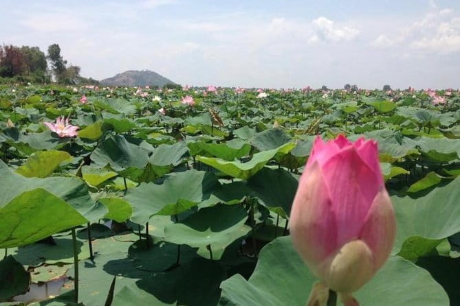 Private Tour Prek Toal Bird Sanctuary Off Beaten Track - The 7:00 a.m. departure from Siem Reap