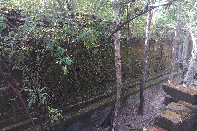 Private Tour to Beng Mealea Jungle Temple and Koh Ker - Is $183 a fair price?
