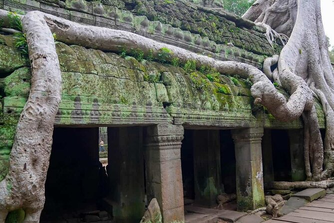 Private Tours Angkor Wat For 3 Days - Clothing, timing, and practical preparation