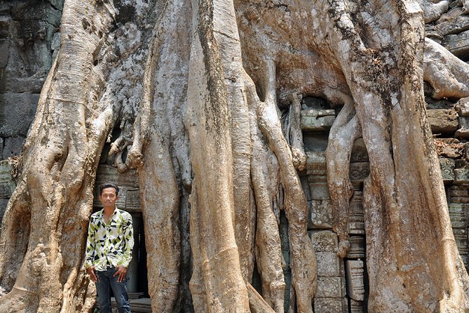 Private Tuk Tuk Tour to Angkor Wat and Small Circle with Two Extras - Banteay Kdei and Ta Prohm show two versions of a jungle temple