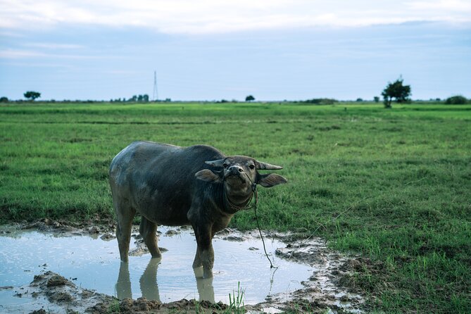 Quad Bike Ride Explore Local Villages - From the Siem Reap hotel to Pearang Road
