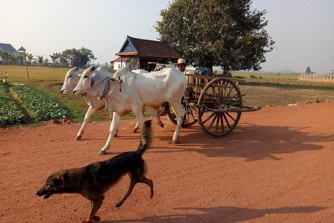 Rice Fields & Rural Villages Tour - Riding through wooden stilt-house villages