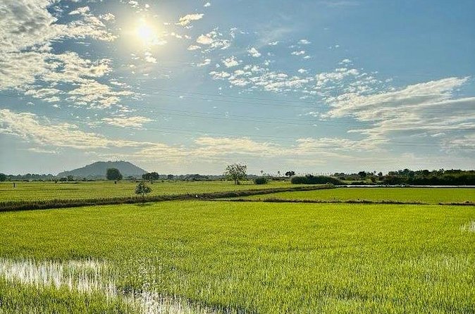 Rural Countryside Experience Tour in Siem Reap - Rice wine shows an old local craft