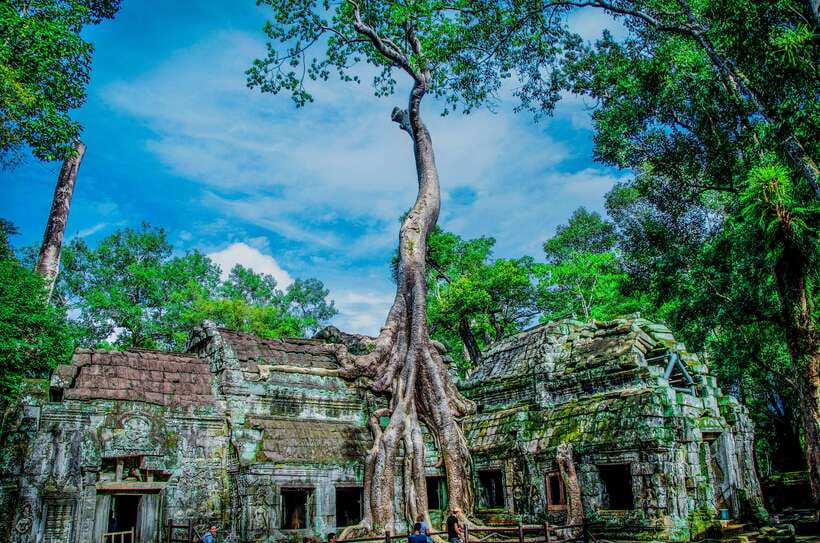 Seat-In-Coach: Small Circuit tour with Sunrise at Angkor Wat - The 4:20 AM pickup and arrival at Angkor Wat