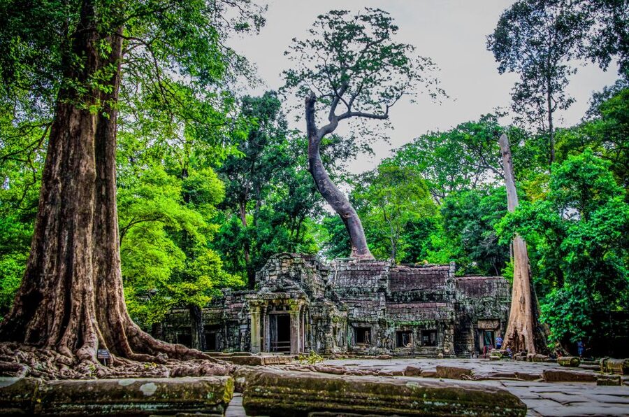 Seat-In-Coach: Small Circuit tour with Sunrise at Angkor Wat - Ta Prohm and the Tomb Raider connection