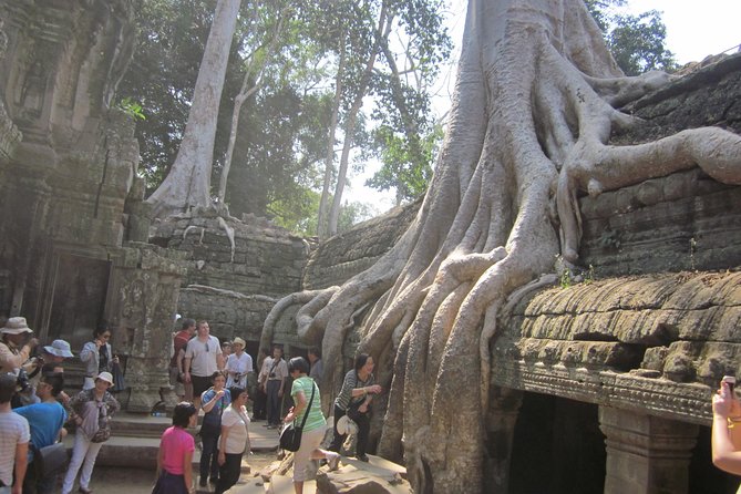 Shared Tour to Angkor Wat, Bayon and Ta Prohm Temples - Angkor Wat takes the largest share of the day