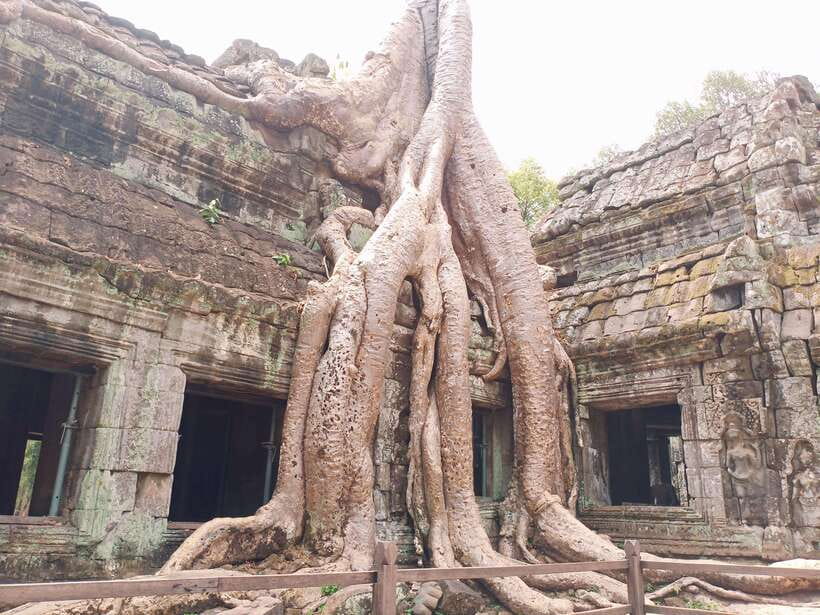 Sharing Trip to Angkor Temple with sunset - Lunch is a welcome pause, but bring extra cash