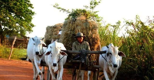 Siem Reap: 3-Hour Ancient Trails Motorbike Tour - Riding through Siem Reap Province